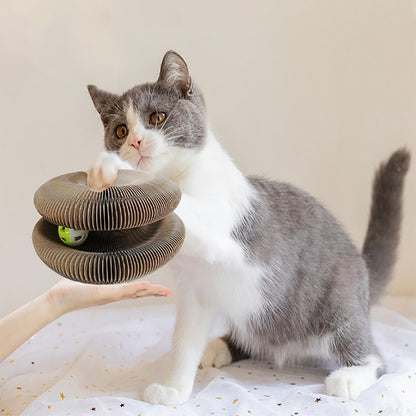 KrabGinie™ VERMAAKT EN BESCHERMD